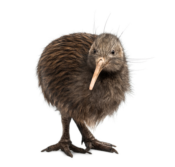 iStock 525151431